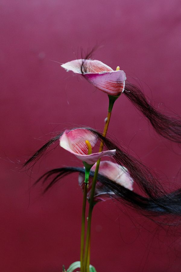 © Yana Wernicke - Image from the Bombay Dream photography project