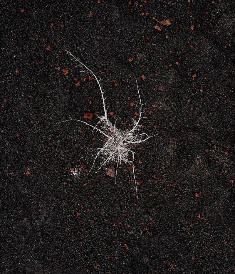 © Alexandre CHAMELAT - Image from the Litosfera photography project