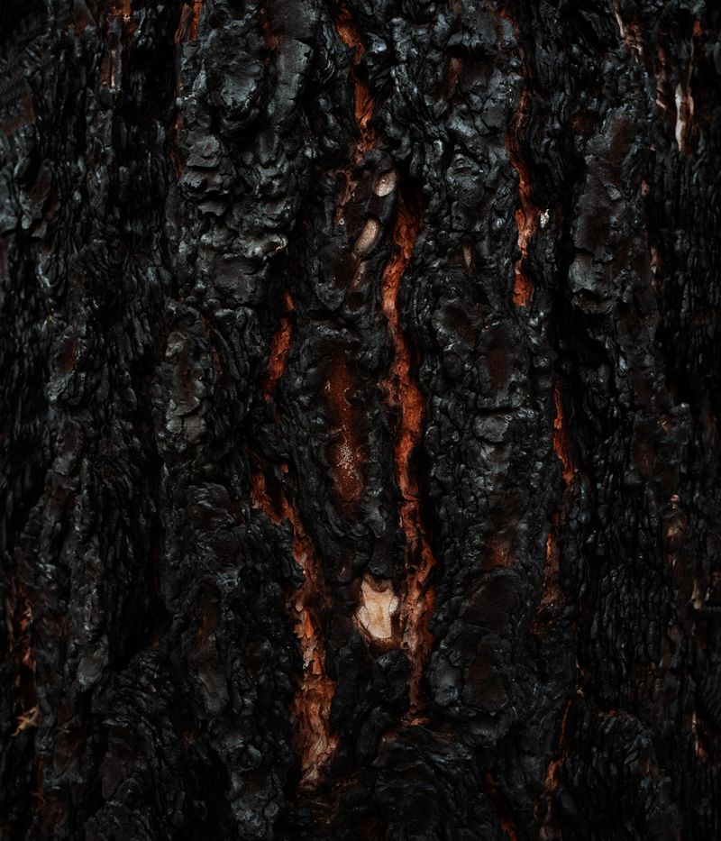 © Alexandre CHAMELAT - Image from the Litosfera photography project