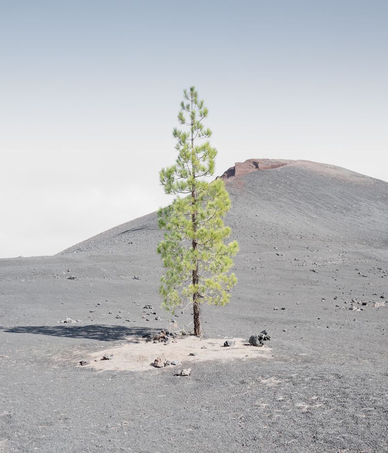 © Alexandre CHAMELAT - Image from the Litosfera photography project