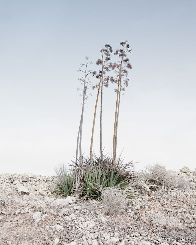 © Alexandre CHAMELAT - Image from the Litosfera photography project