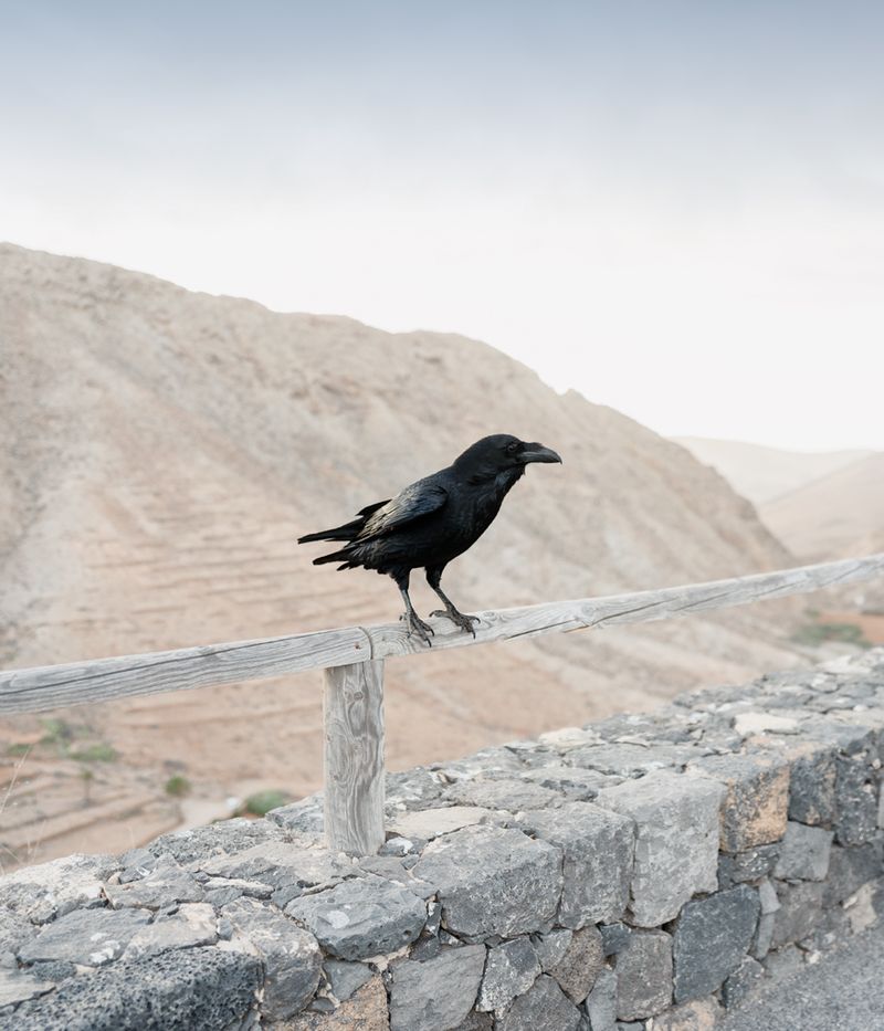 © Alexandre CHAMELAT - Image from the Litosfera photography project