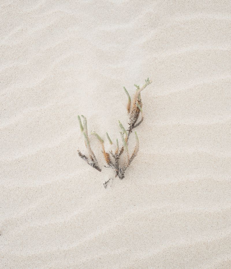 © Alexandre CHAMELAT - Image from the Litosfera photography project