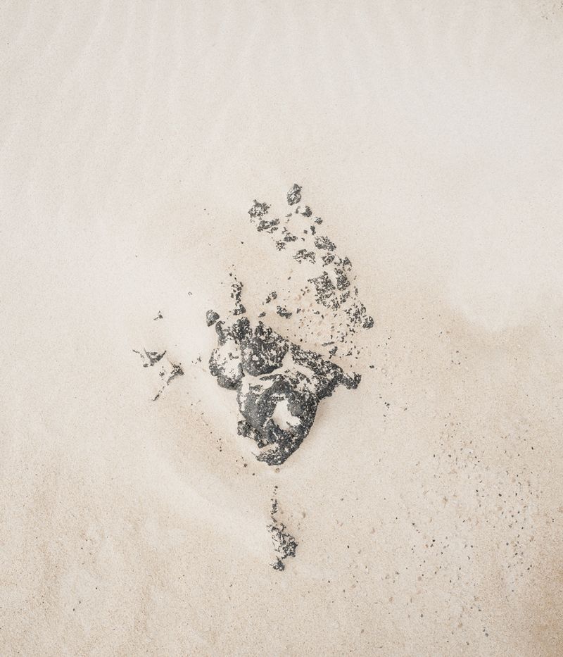 © Alexandre CHAMELAT - Image from the Litosfera photography project