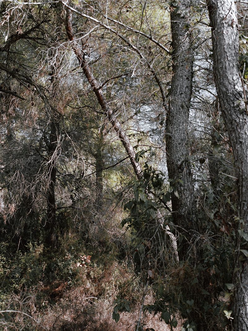© Mirjana Vrbaski - Image from the odd time photography project