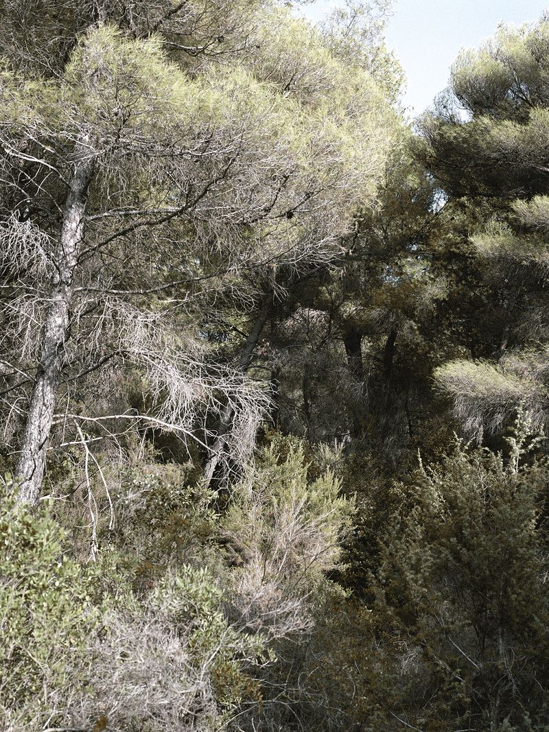 © Mirjana Vrbaski - Image from the odd time photography project