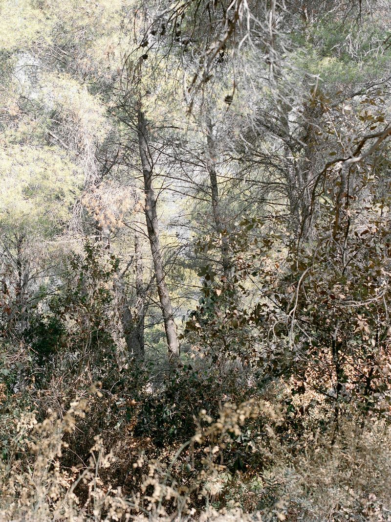 © Mirjana Vrbaski - Image from the odd time photography project