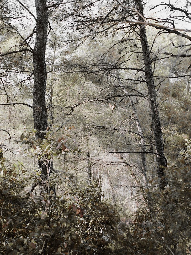 © Mirjana Vrbaski - Image from the odd time photography project
