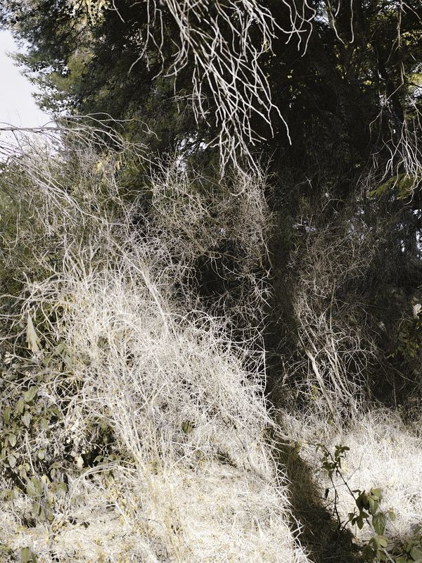 © Mirjana Vrbaski - Image from the odd time photography project