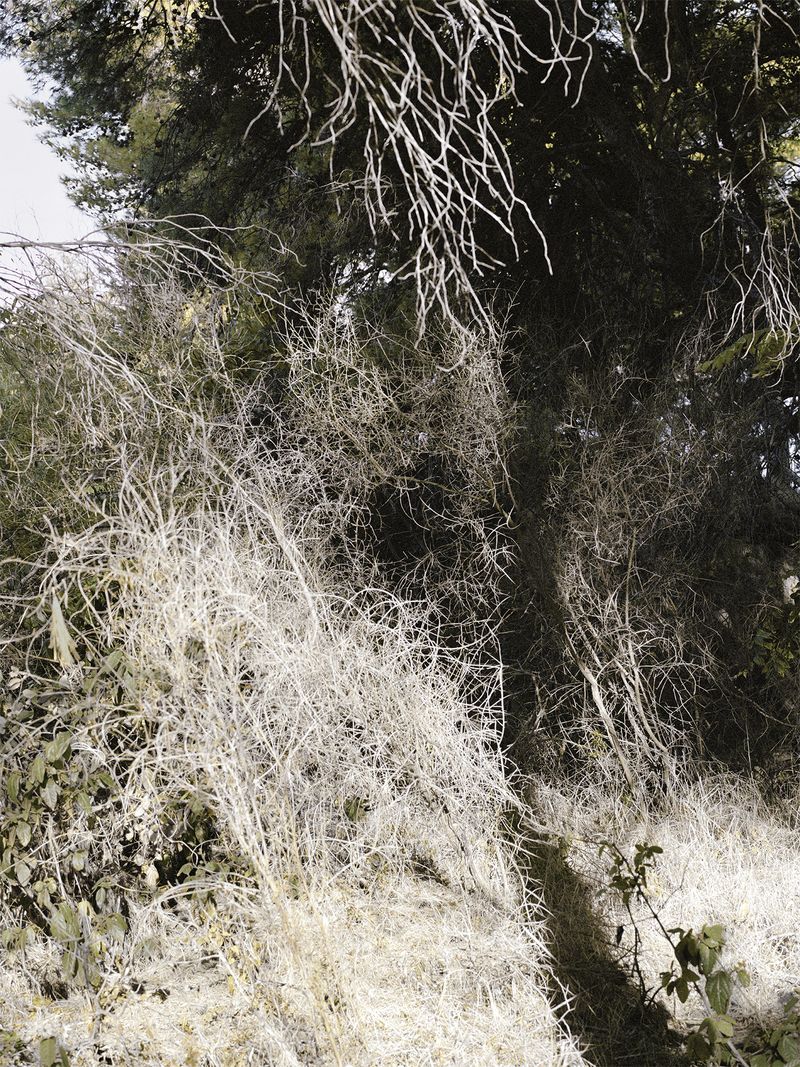 © Mirjana Vrbaski - Image from the odd time photography project