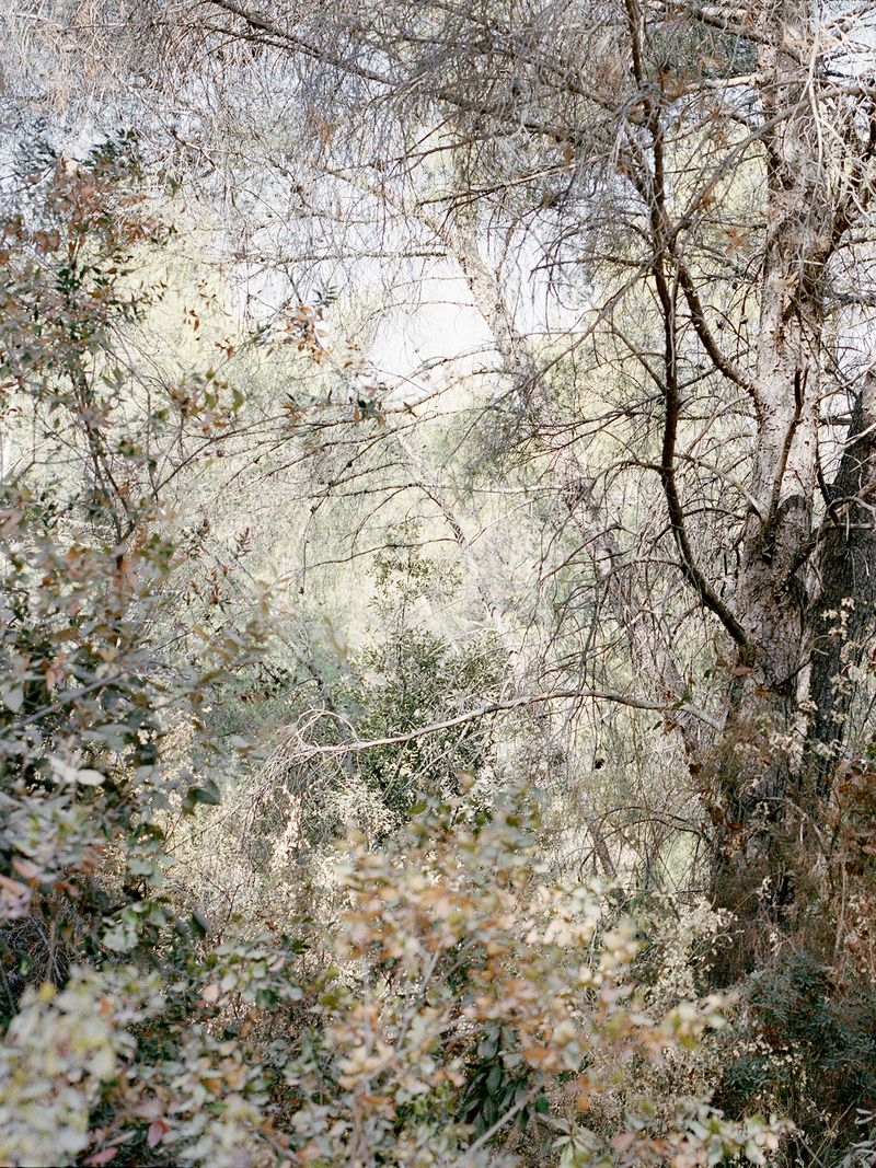 © Mirjana Vrbaski - Image from the odd time photography project