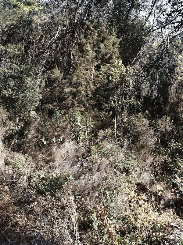 © Mirjana Vrbaski - Image from the odd time photography project