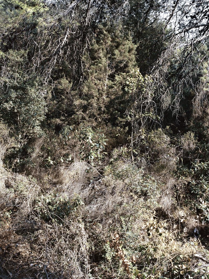 © Mirjana Vrbaski - Image from the odd time photography project