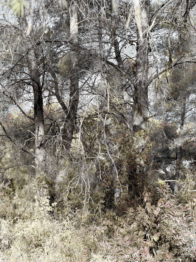 © Mirjana Vrbaski - Image from the odd time photography project