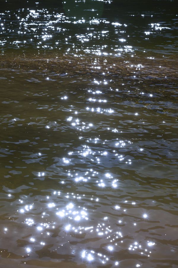 © Tanya Houghton - Colorado River, Cathedral Wash trail