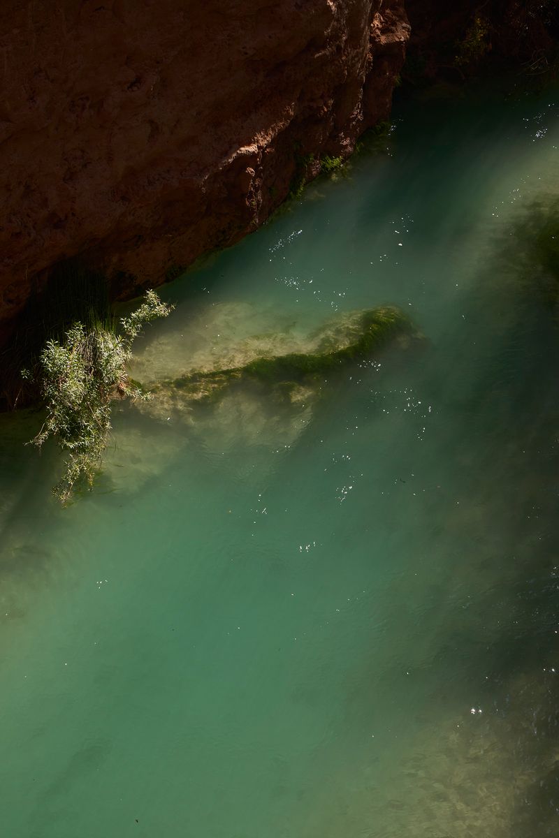 © Tanya Houghton - Little Colorado River, Havasupai Reservation
