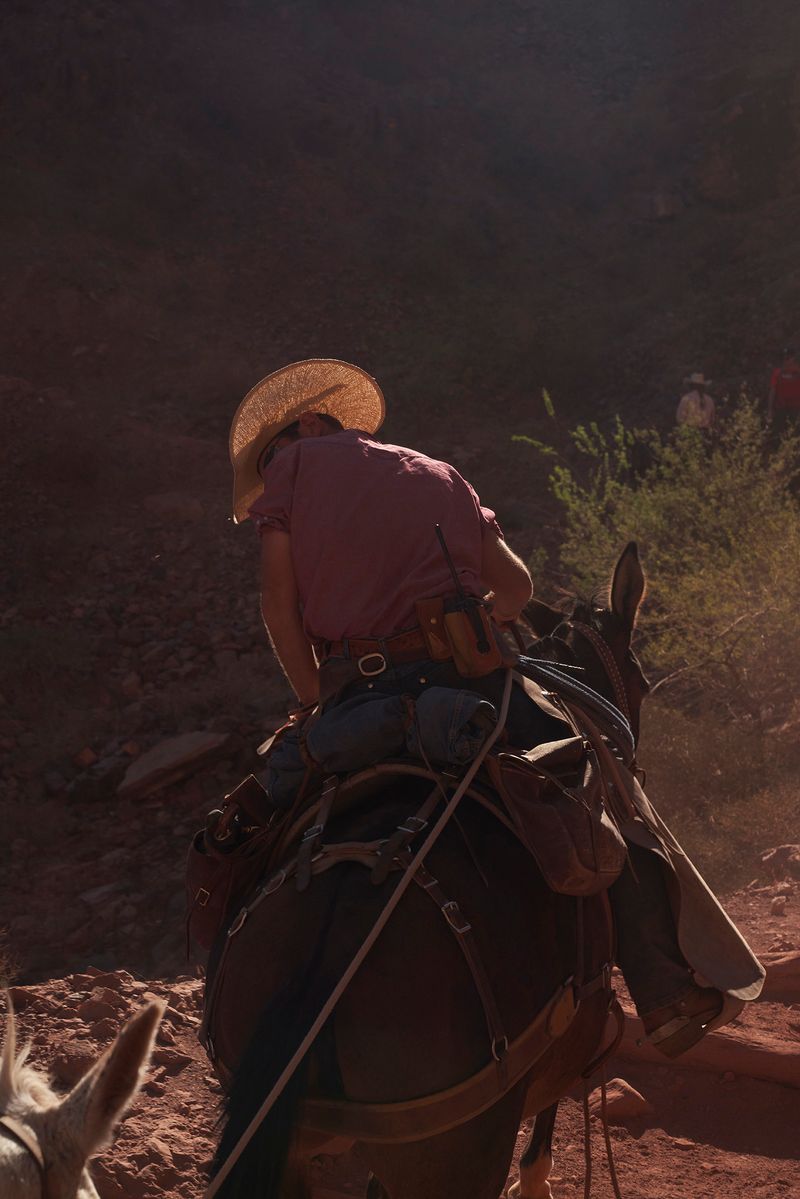 © Tanya Houghton - Mule riders on the South Kaibab trail, Grand Canyon National Park, Arizona