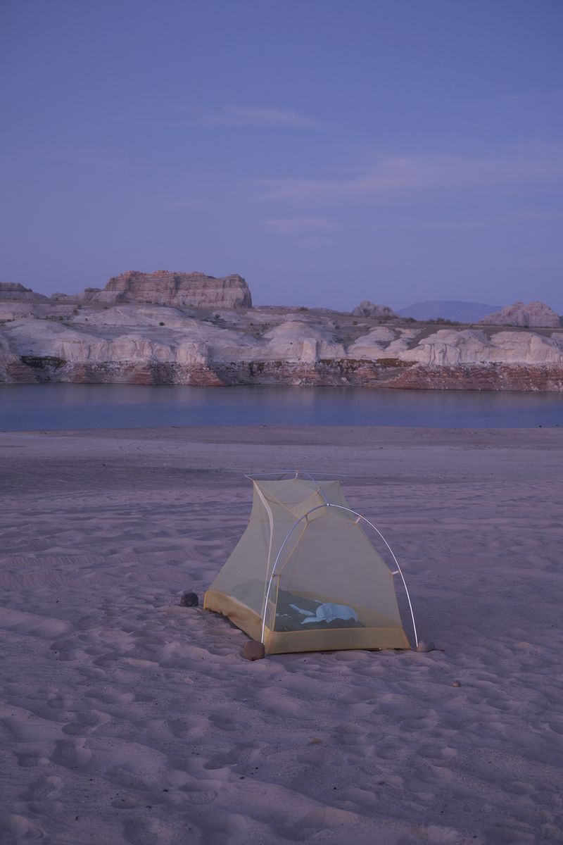 © Tanya Houghton - Dusk at Lone Rock Beach, Page, Arizona.