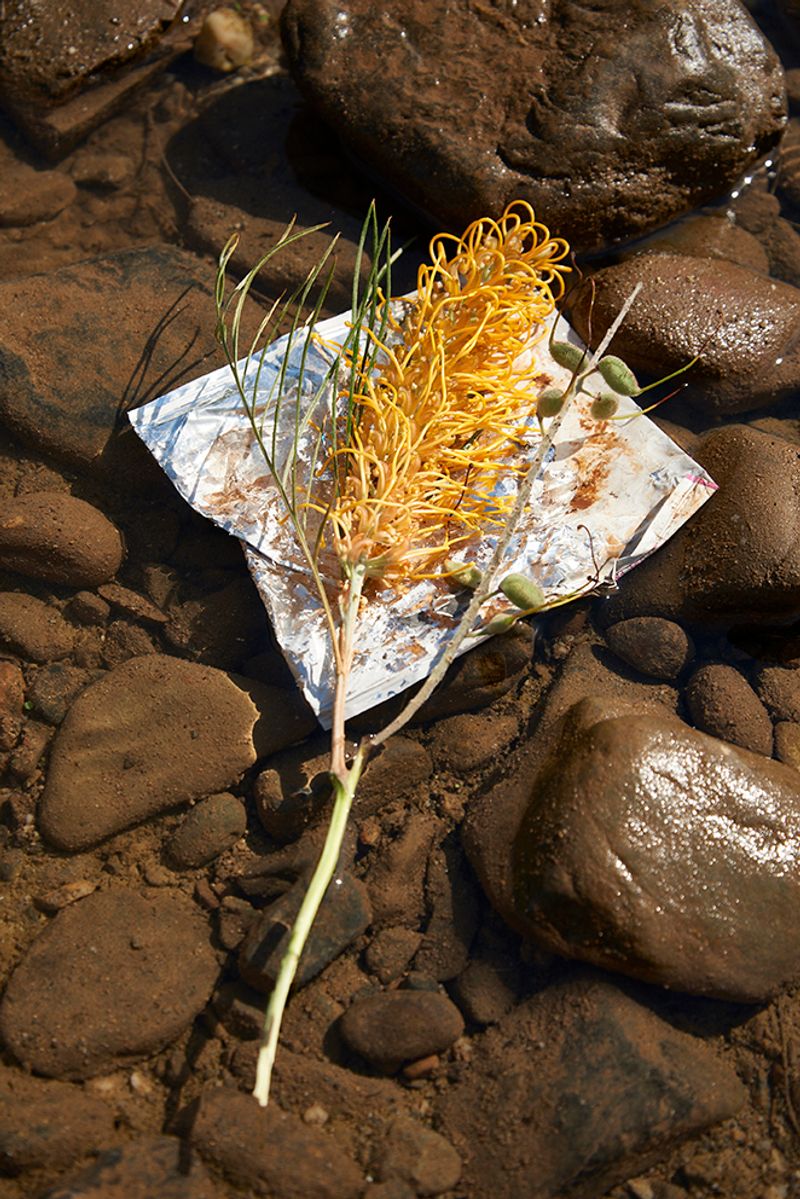 © Tanya Houghton - Image from the Songlines of the HERE+NOW photography project