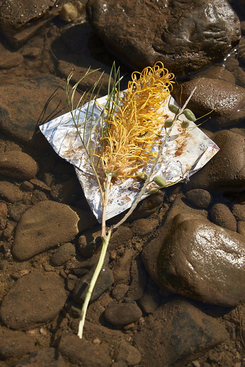 © Tanya Houghton - Image from the Songlines of the HERE+NOW photography project