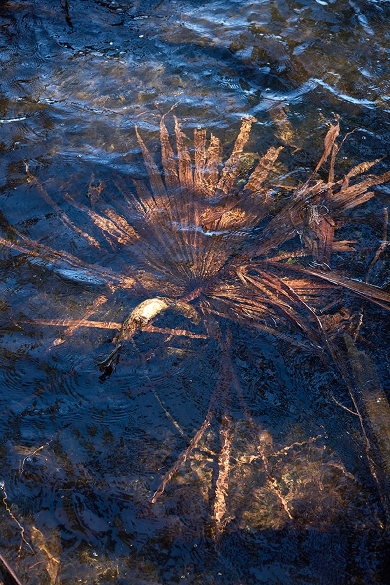 © Tanya Houghton - Image from the Songlines of the HERE+NOW photography project