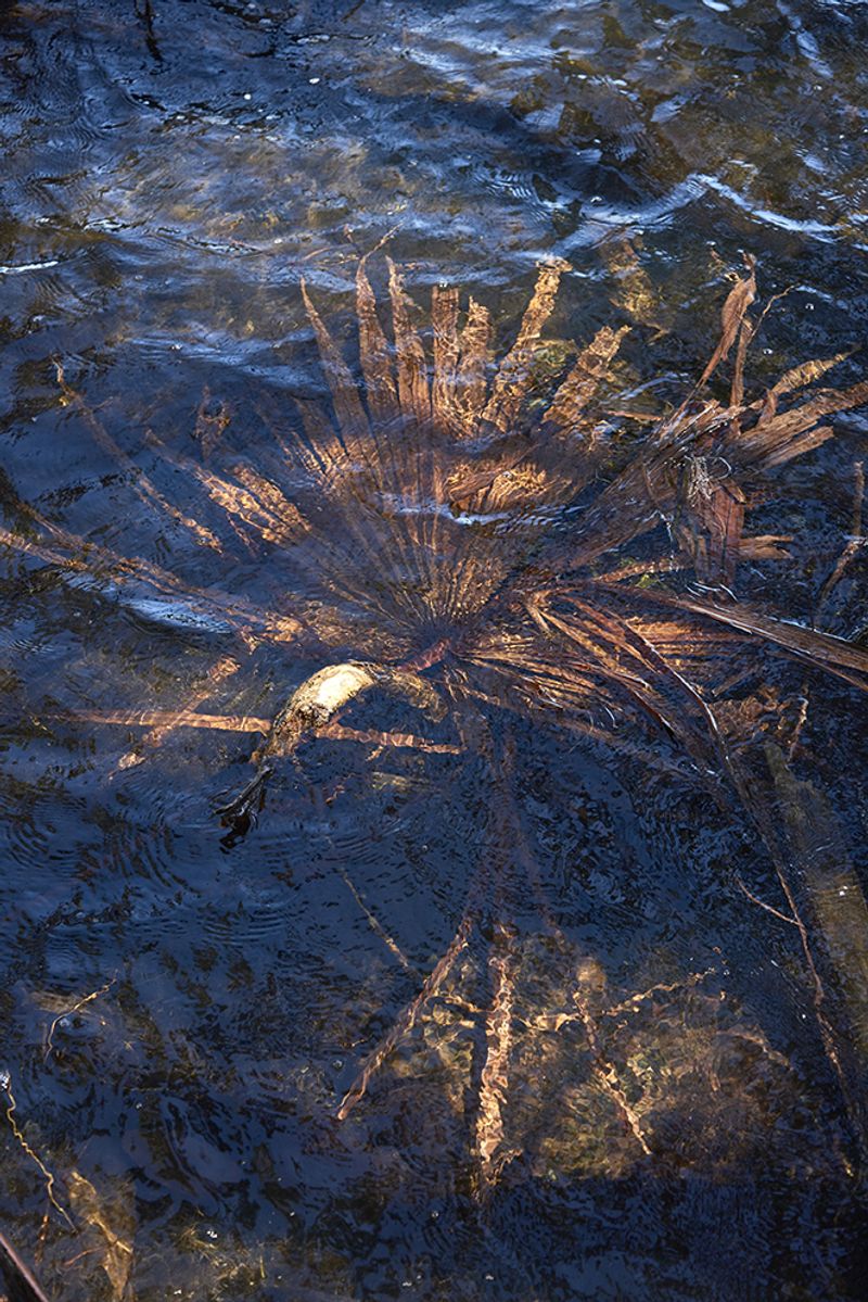 © Tanya Houghton - Image from the Songlines of the HERE+NOW photography project