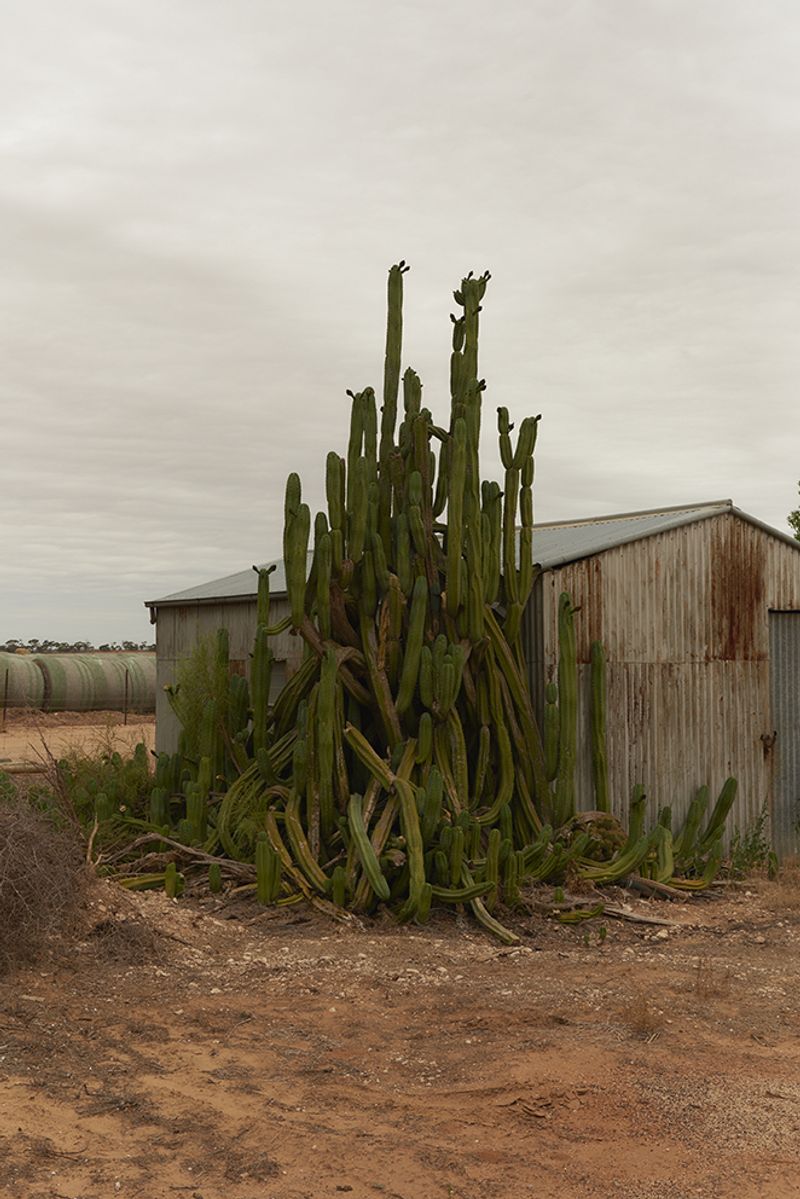 © Tanya Houghton - Image from the Songlines of the HERE+NOW photography project