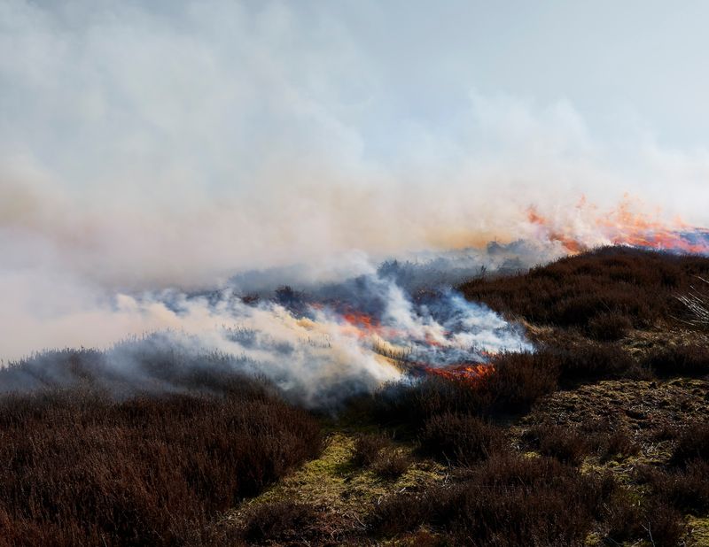 © David Vintiner - Heather burning, Swaledale