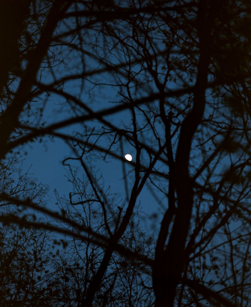 © Davide Degano - Image from the Do-li-na photography project