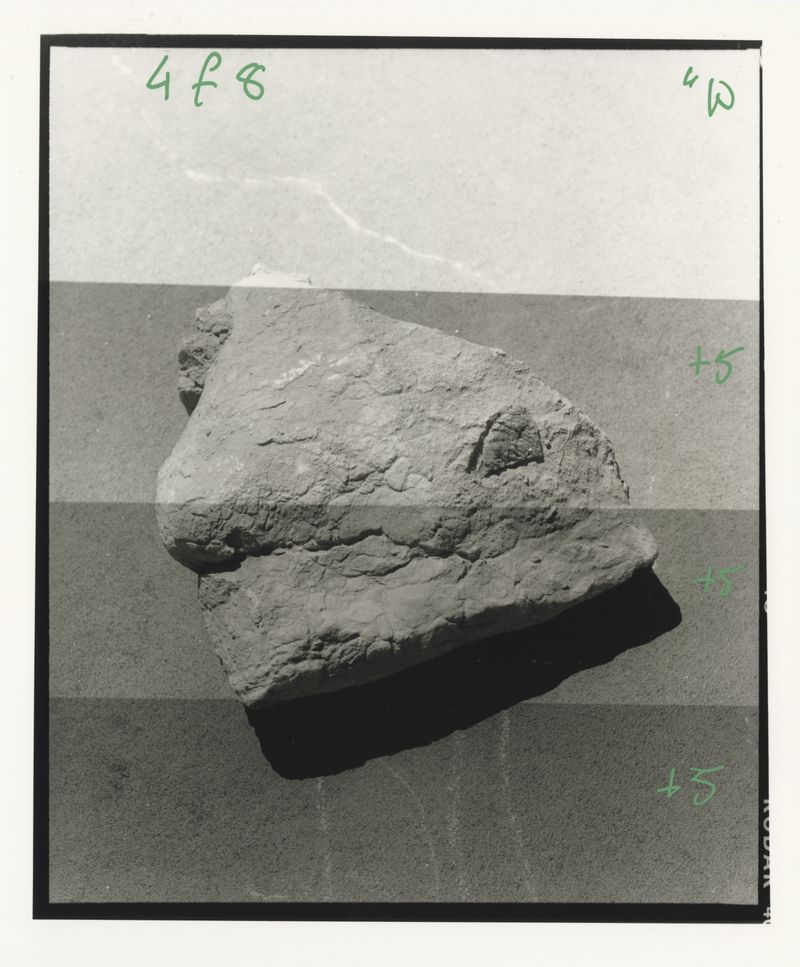 © Davide Degano - Image from the Do-li-na photography project