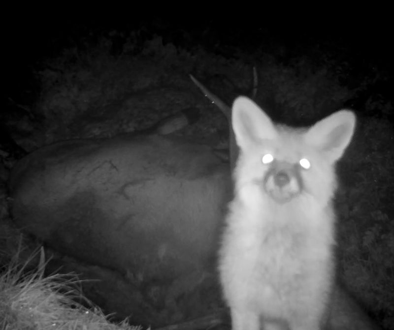 © Davide Degano - Image from the Do-li-na photography project