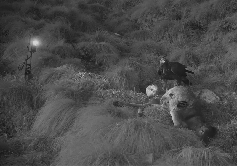 © Davide Degano - Image from the Do-li-na photography project