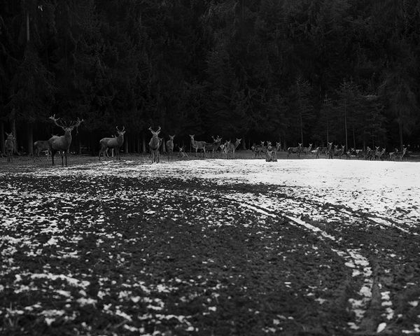 © Gabriele Onere - Image from the Istinto photography project