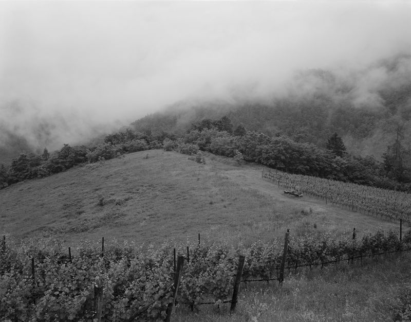 © Gabriele Onere - Image from the Istinto photography project