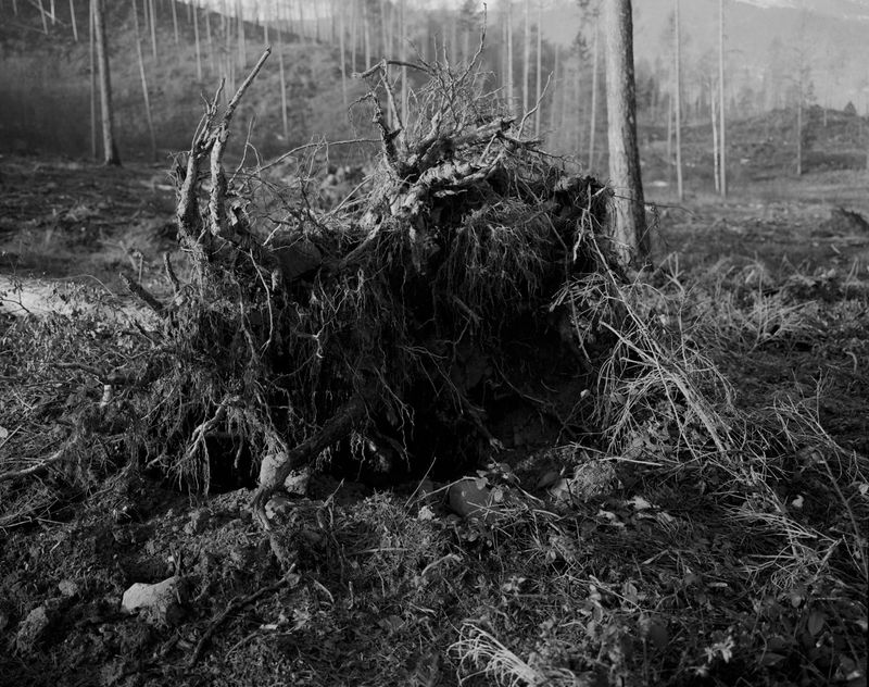 © Gabriele Onere - Image from the Istinto photography project