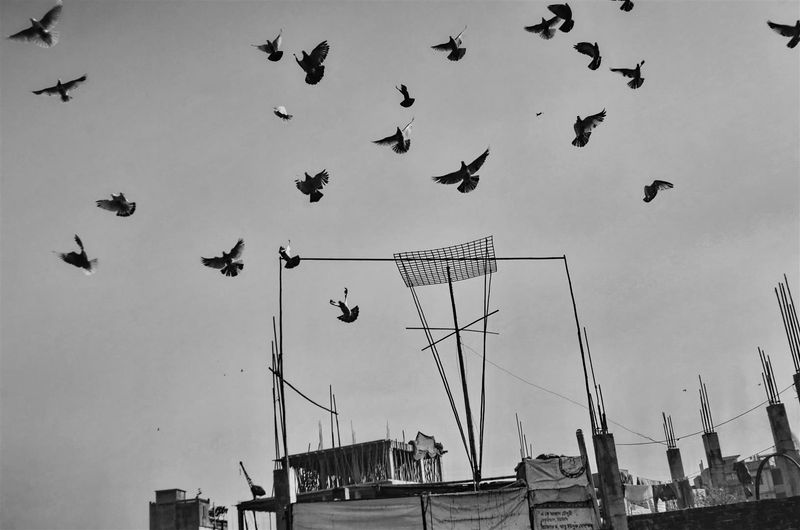 © Saiful Amin Kazal - Image from the DALIT LIFESCAPE IN DHAKA photography project