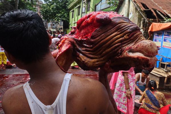 © Saiful Amin Kazal - Eid ul Azha Festival observed by the muslim cleaners