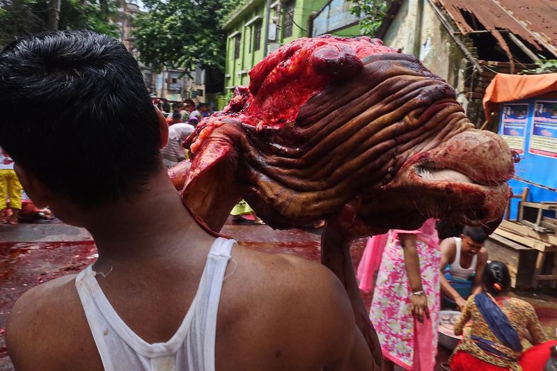 © Saiful Amin Kazal - Eid ul Azha Festival observed by the muslim cleaners