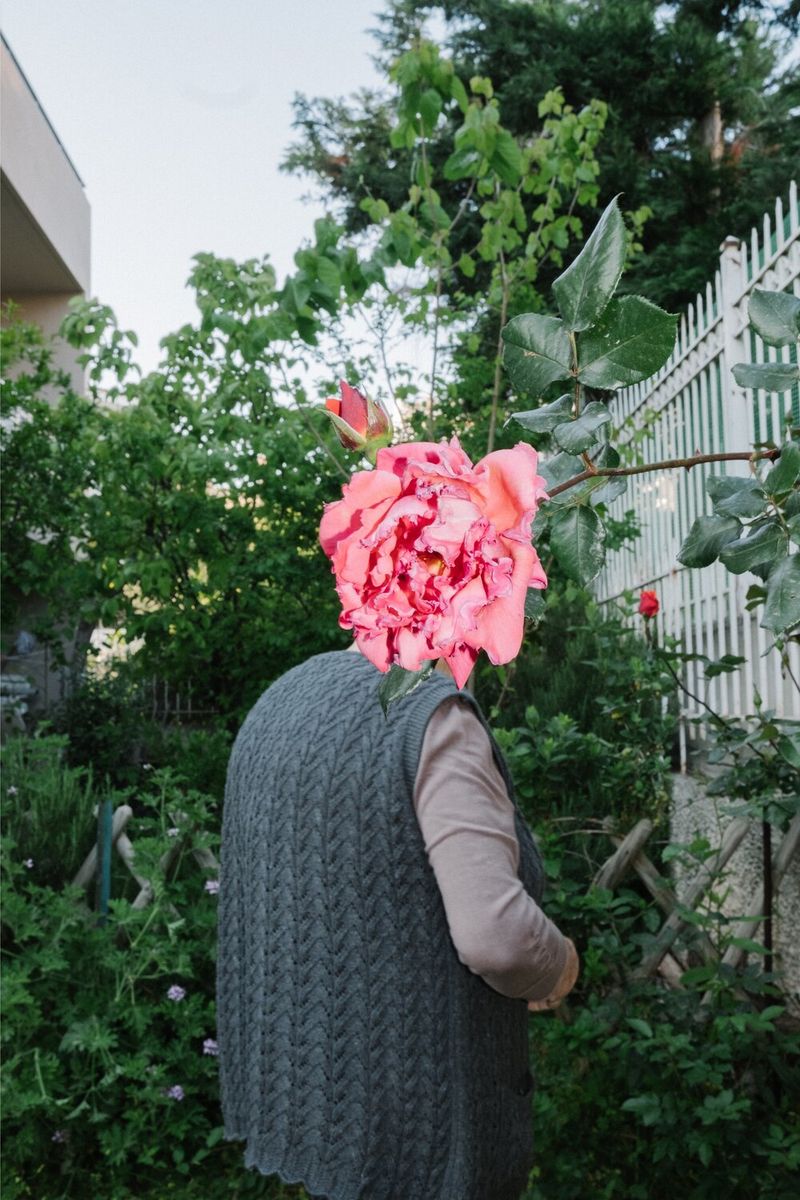 © VASSILIS VASILEIOU - Image from the The voice of the cicada photography project