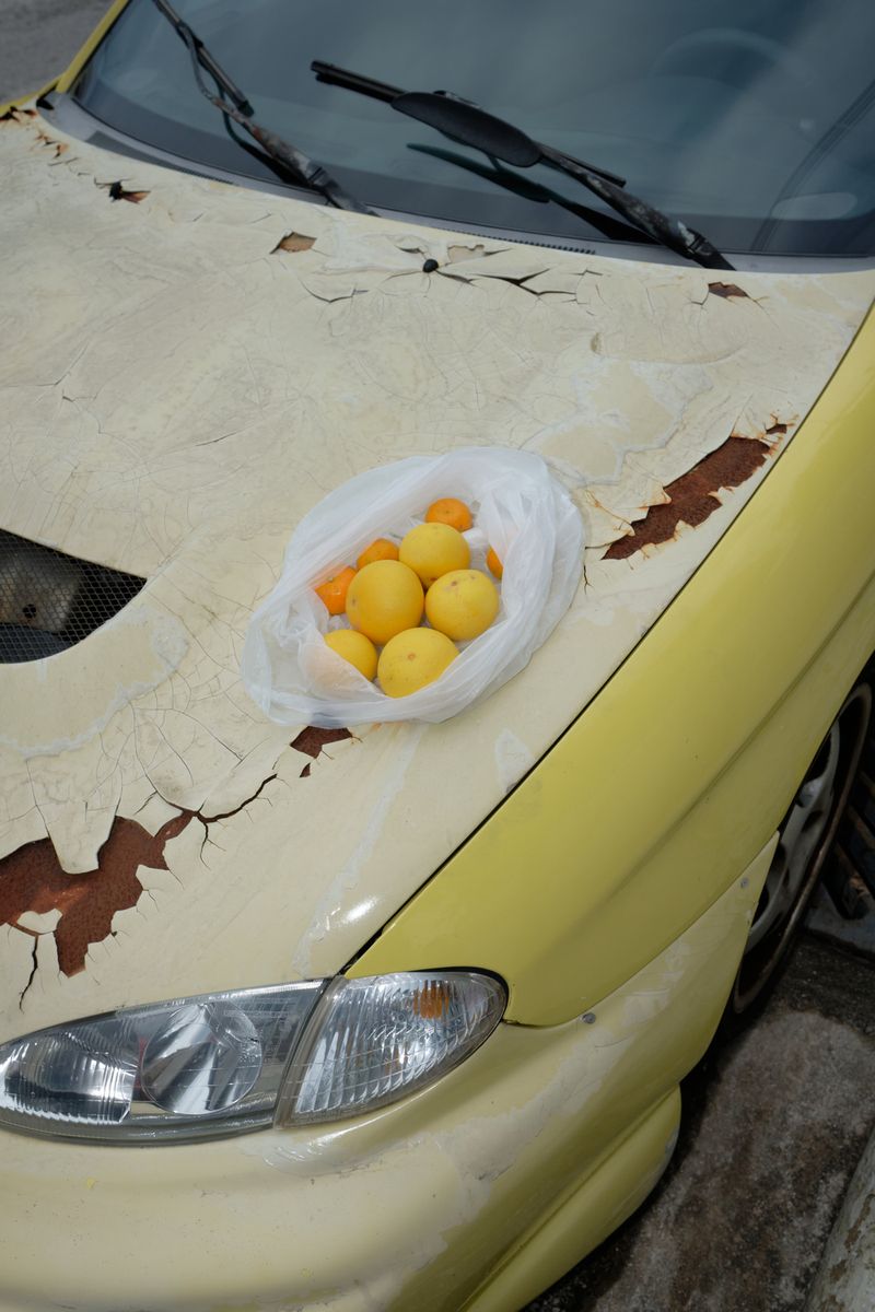 © VASSILIS VASILEIOU - Image from the The voice of the cicada photography project