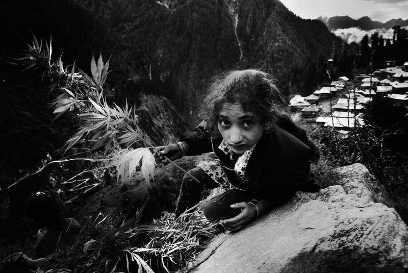 © Harikrishna Katragadda - Image from the Malana: Cannabis Kingdom on the edge photography project