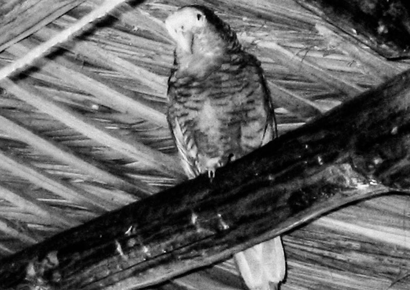 © Angelo Bonetti - Image from the He grew up in the fog photography project