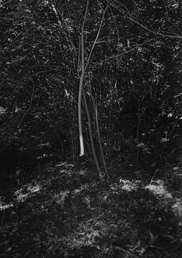 © Angelo Bonetti - Image from the Iremía photography project