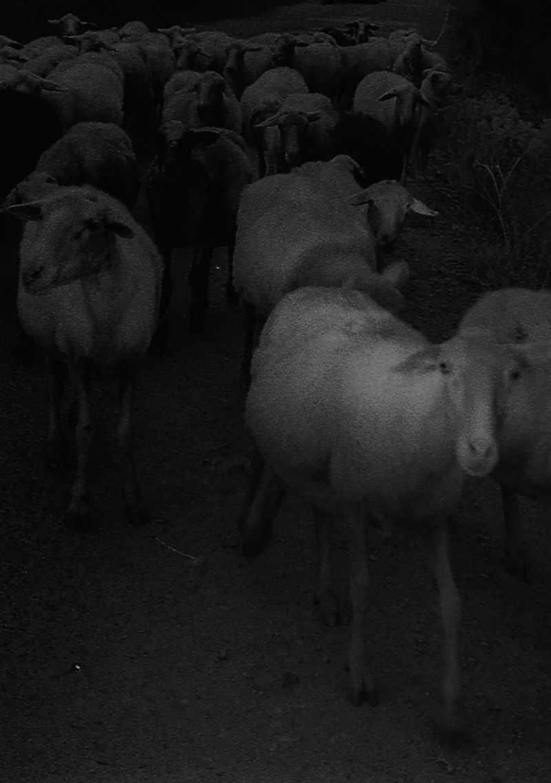 © Angelo Bonetti - Image from the Iremía photography project