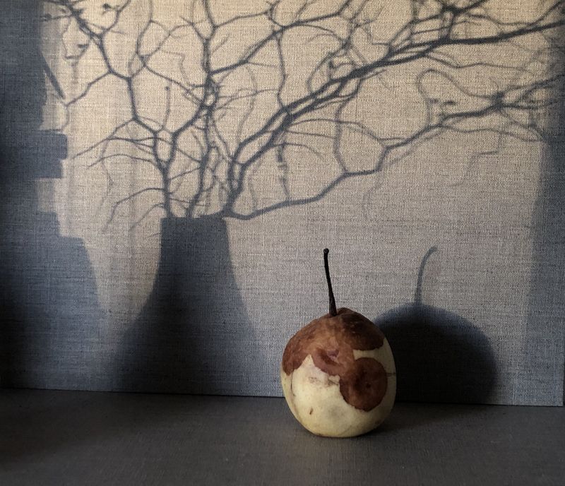 © Julianna Balla - Last light of the day. Melancolia