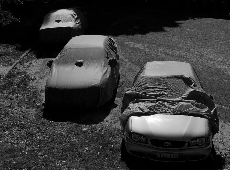 © Julianna Balla - Lockdown day 21 in my neighbourhood