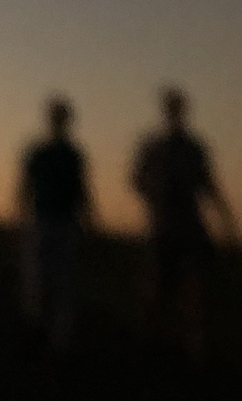© Julianna Balla - I photographed a couple in the park and kept enlarging the image till at disintegrated to the point of becoming painterly