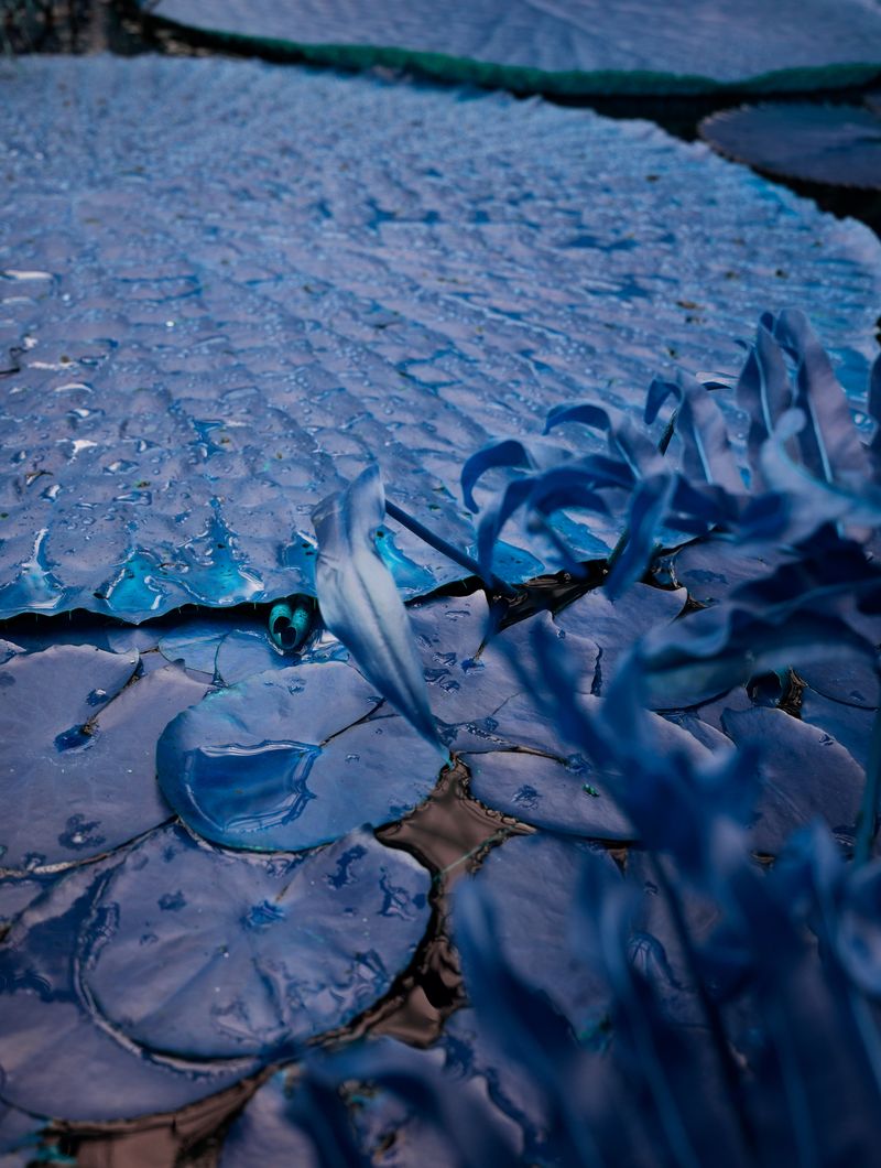 © Hertta Kiiski - This blue exists, 2023