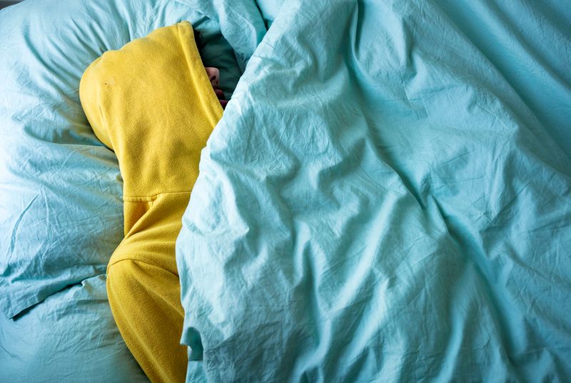 © Els Zweerink - Sammie at home; sleeping during day. He lives in the. night and sleeps during day.