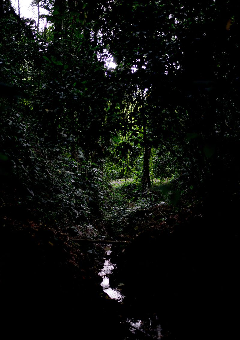 © Camila Falcão - Image from the The Man Does Not Exist photography project